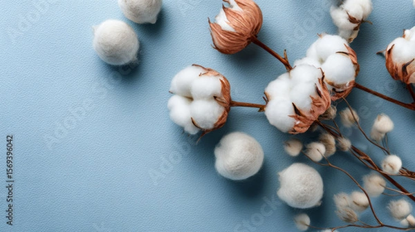 Obraz Top view composition of soft cotton baby balls paired with cotton flowers
