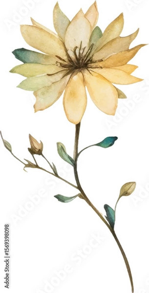 Fototapeta Vector Watercolor painted flower. Hand drawn flower design elements isolated on white background.