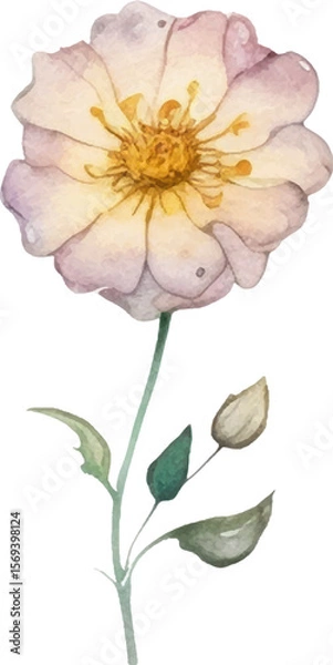 Fototapeta Vector Watercolor painted flower. Hand drawn flower design elements isolated on white background.