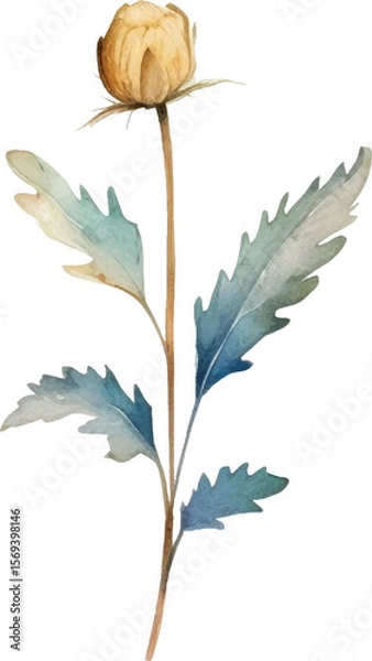 Fototapeta Vector Watercolor painted flower. Hand drawn flower design elements isolated on white background.