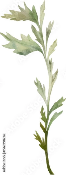 Fototapeta Vector Watercolor painted flower. Hand drawn flower design elements isolated on white background.