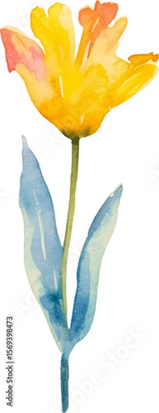 Fototapeta Vector watercolor painted tulip flower. Hand drawn design element isolated on white background.