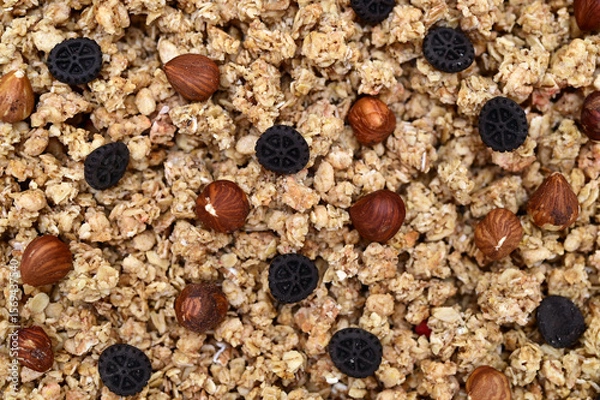 Fototapeta appetizing crispy muesli with chocolate cookies and whole hazelnuts