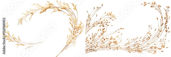 Fototapeta Set of curved dried wild grass branches isolated on transparent background


