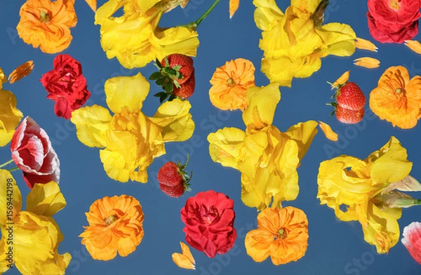 Fototapeta Bright yellow and red flowers with strawberries floating on mirror with blue sky reflection. Creative floral layout with natural light. Top view
