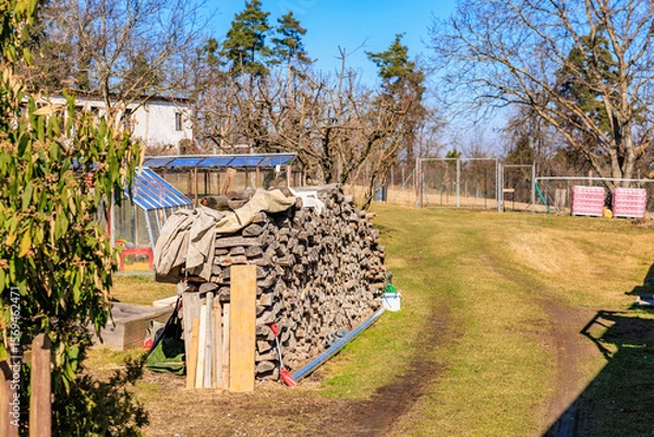 Fototapeta Rural backyard with stacked firewood and trees on a sunny day