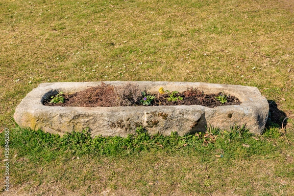 Fototapeta Stone trough planter on a grassy field