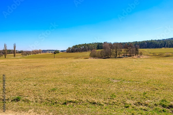 Fototapeta Vast green meadow with forest horizon under clear blue sky