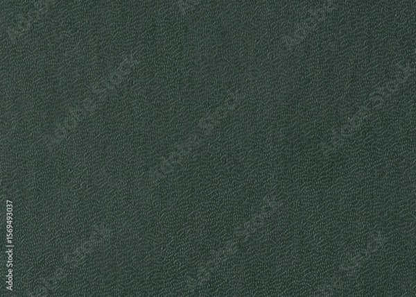 Fototapeta Bubbly green book cover texture background. Natural grainy surface texture for design.