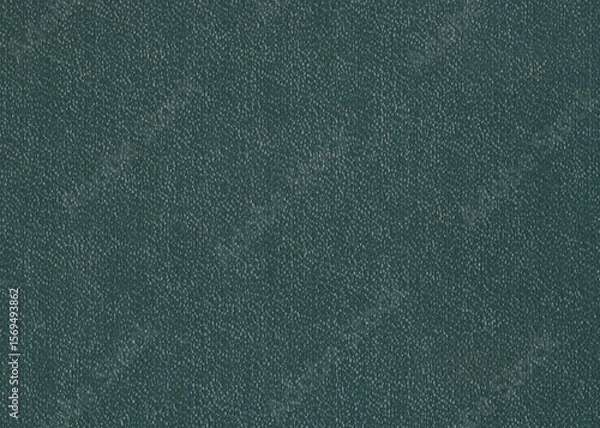 Fototapeta Bubbly green book cover texture background. Natural grainy surface texture for design.