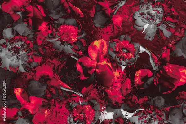 Fototapeta High-contrast digital floral artwork in dramatic red and black shades. Intense and expressive background design