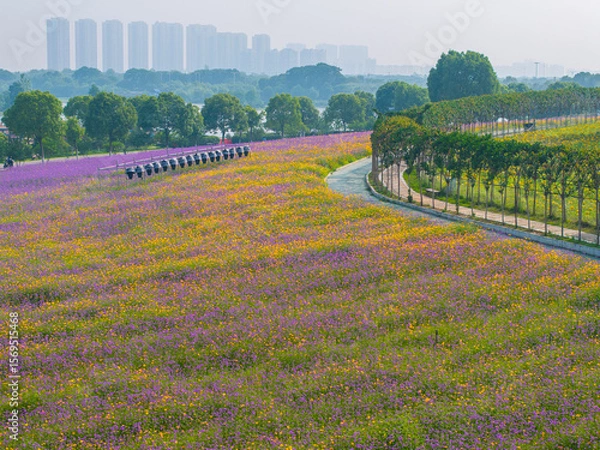 Obraz Wuhan Hua Bo Hui Scenic Spot Spring Scenery