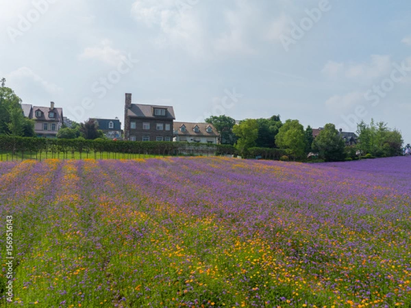 Obraz Wuhan Hua Bo Hui Scenic Spot Spring Scenery