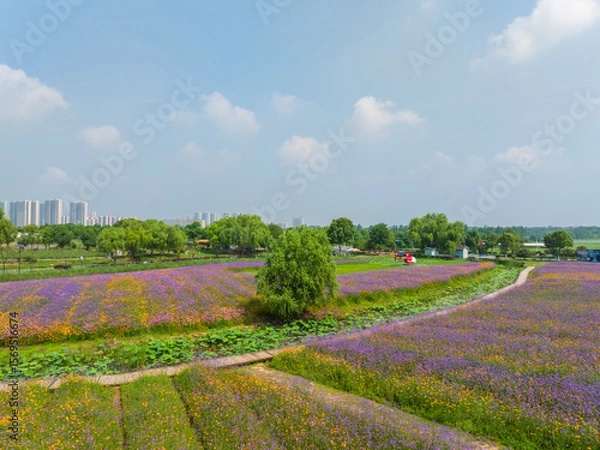 Obraz Wuhan Hua Bo Hui Scenic Spot Spring Scenery