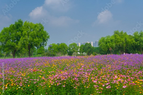 Obraz Wuhan Hua Bo Hui Scenic Spot Spring Scenery