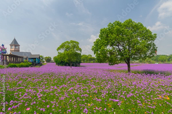 Obraz Wuhan Hua Bo Hui Scenic Spot Spring Scenery