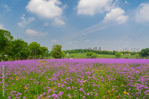Obraz Wuhan Hua Bo Hui Scenic Spot Spring Scenery