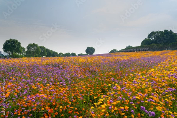 Obraz Wuhan Hua Bo Hui Scenic Spot Spring Scenery