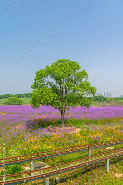 Obraz Wuhan Hua Bo Hui Scenic Spot Spring Scenery