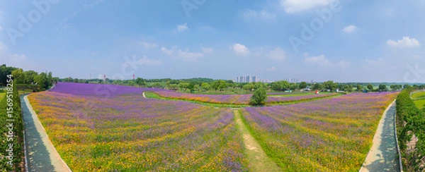 Obraz Wuhan Hua Bo Hui Scenic Spot Spring Scenery