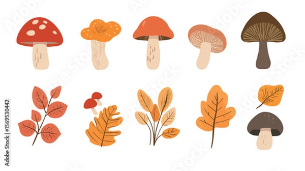 Obraz Simple and clean vector icon of a mushroom fruit, minimalist design featuring smooth curves and clear shape, ideal for botanical, organic, food, and nature-related themes in modern flat illustration 