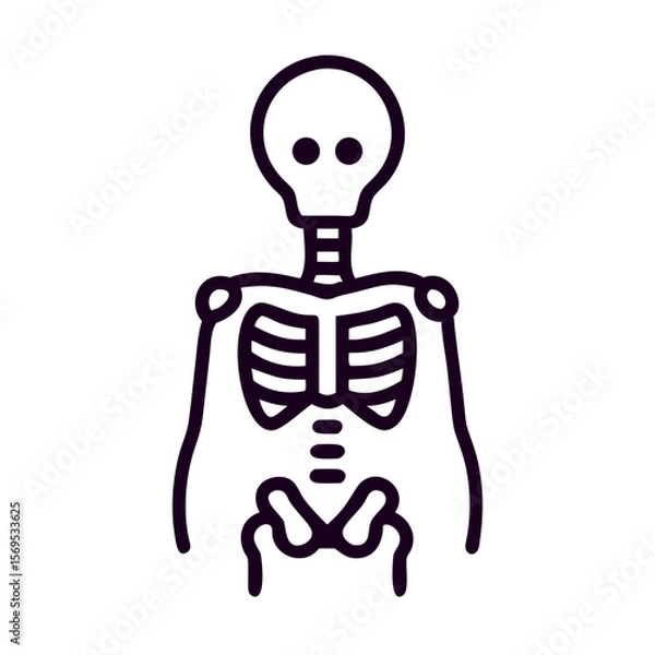 Fototapeta Skeleton drawing in minimal style with simple lines on white background  