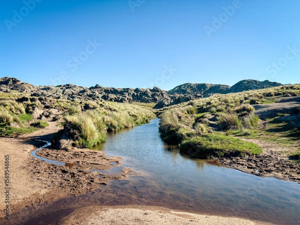 Obraz Tranquil Mountain Stream Flowing Through Grassy Landscape