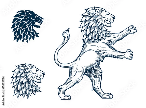 Obraz Ilustracja lew