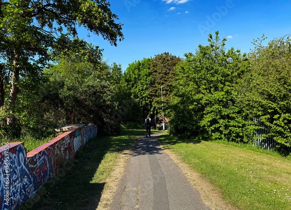 Fototapeta A paved path, surrounded by lush greenery and trees under a clear blue sky. Graffiti-covered walls add an urban touch to the otherwise natural setting in, Woodhouse, Leeds, UK