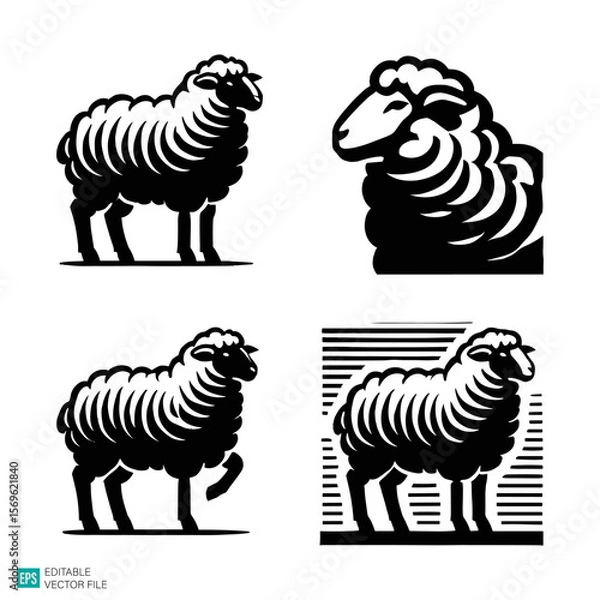 Fototapeta set of sheep vector black and white illustration
