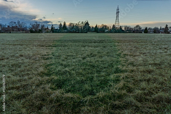 Fototapeta Electrical power grid and trees in the distance viewed from a grass field at dusk
