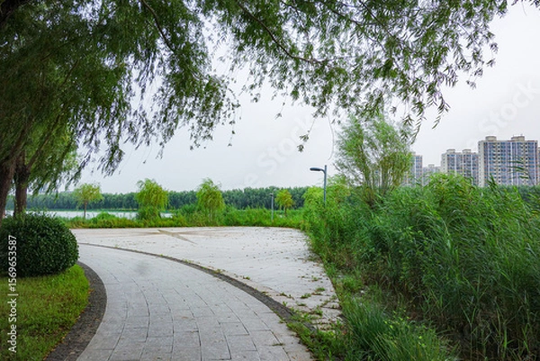 Fototapeta The sidewalks, plants, and floating lotus leaves on the riverbanks of urban parks