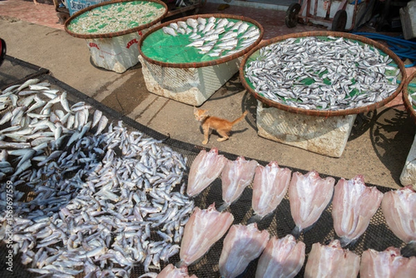 Fototapeta Fresh fishes dry under the sun on the net at local market.
