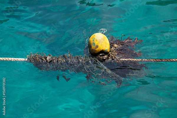 Fototapeta Yellow buoys are floating on the emerald ocean.