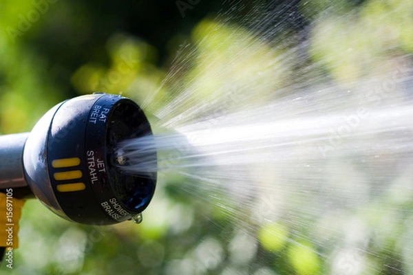 Obraz Garten gießen