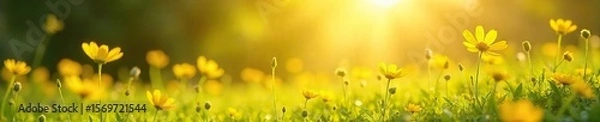 Fototapeta Golden Meadow Wildflowers A Whimsical Summer Scene of Blooming Yellow Flowers Bathed in Magical Light, Perfect for Childhood Dreams and Fantasy Illustrations