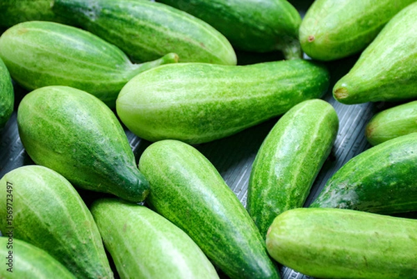 Fototapeta Fresh Green Cucumbers Displayed for Salad or Pickling Preparation