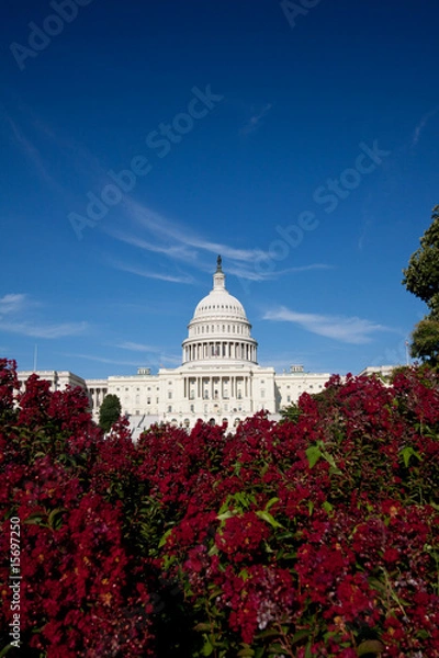 Fototapeta Capitol building, Washington D.C.