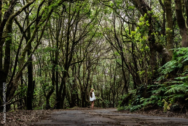 Obraz Tourist walking in garajonay national park exploring la gomera, canary islands, spain