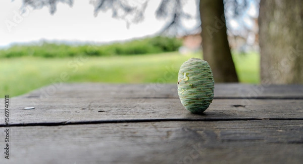 Obraz green apple on the ground