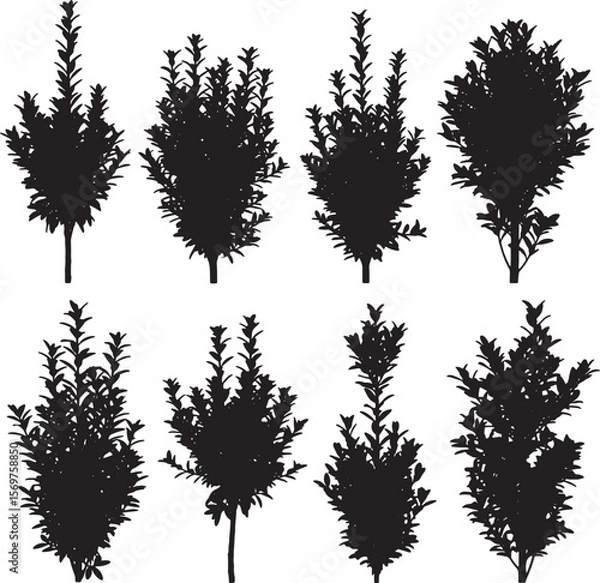 Fototapeta A versatile set of diverse shrub and bush silhouettes, ideal for landscaping designs, garden planning, natural scene illustrations, and environmental graphic elements