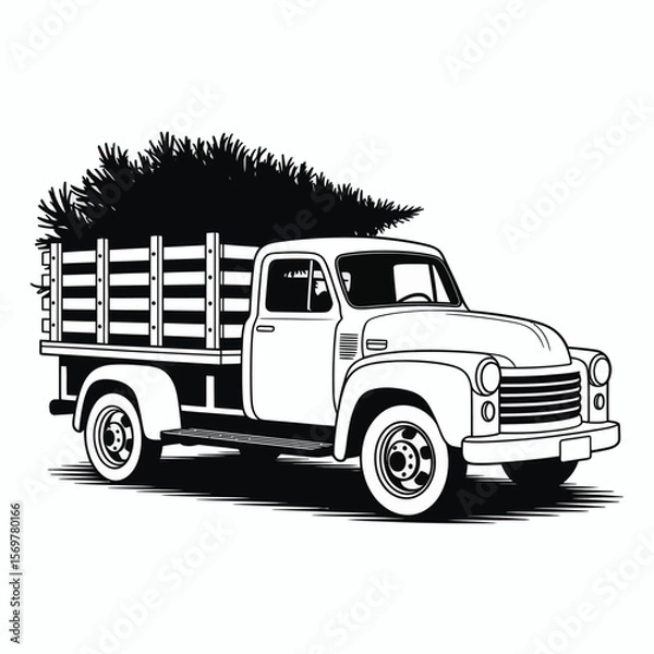 Fototapeta Vintage truck loaded with a christmas tree in the bed