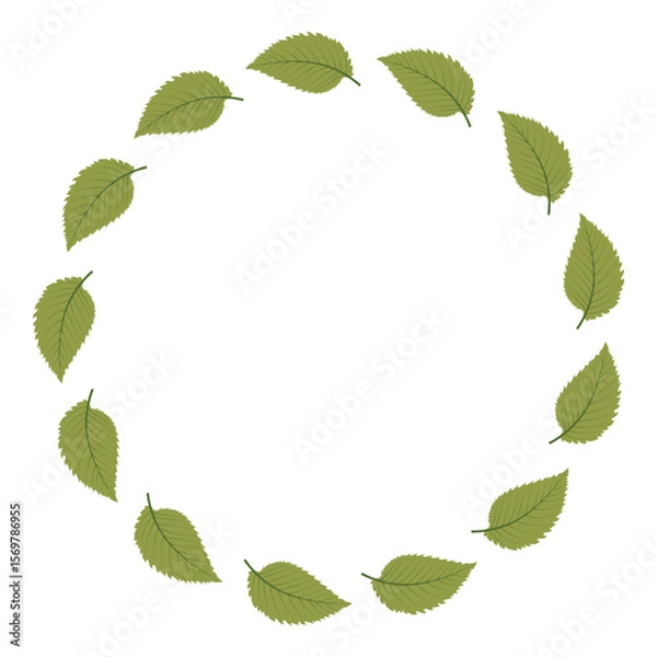 Obraz Green leaves circle frame.