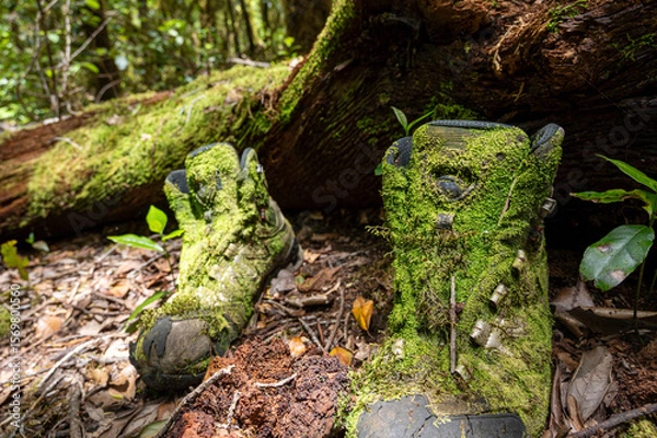 Fototapeta Two dirty, mossy boots are sitting on the ground in a forest. The moss has grown on the boots, giving them a natural, earthy appearance. Concept of tranquility and connection to nature
