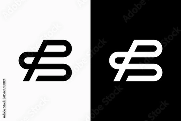 Obraz BS Vector Logo Premium 