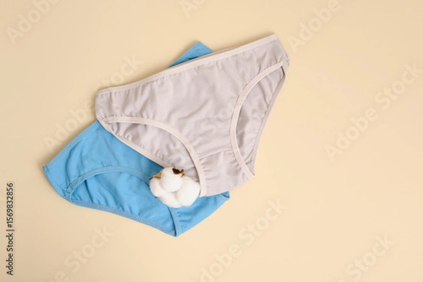 Obraz Set of women's comfortable cotton briefs slips with cotton flower top view. Concept: feminine hygiene and health. Gynecology and reproductive functions. panties for teenager