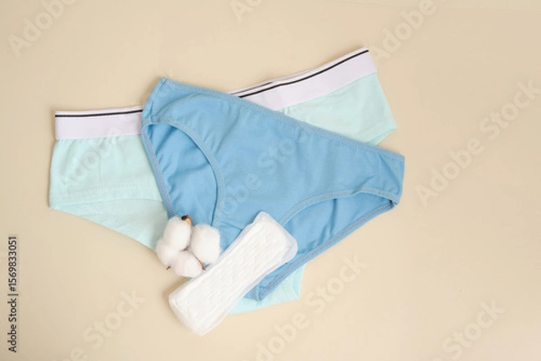 Obraz Women's Comfortable Panties Small Size and Cotton Flower top view