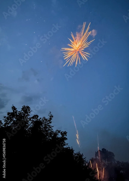 Obraz Large, gold, brocade firework exploding high above a neighborhood