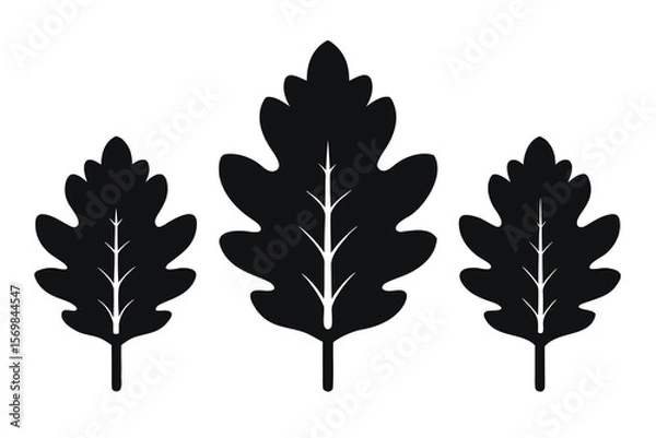 Fototapeta Vibrant autumn maple and oak leaves, trees, and vector illustrations capture the colorful essence of the fall season in nature