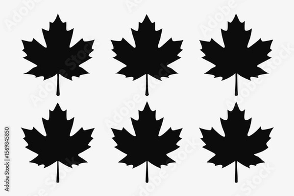 Fototapeta Set of colorful autumn maple leaves isolated on white background